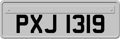 PXJ1319