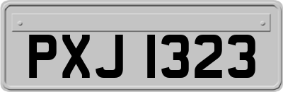 PXJ1323