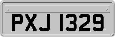 PXJ1329