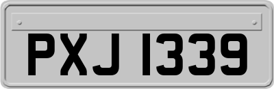 PXJ1339