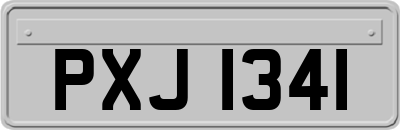 PXJ1341