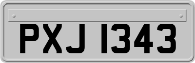 PXJ1343