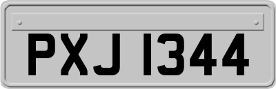 PXJ1344