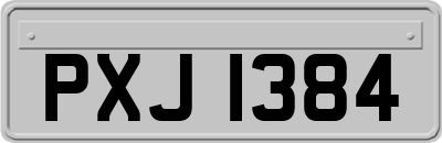 PXJ1384