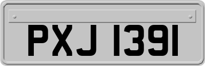 PXJ1391