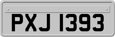 PXJ1393