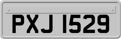 PXJ1529