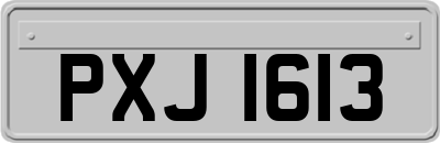 PXJ1613