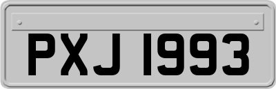 PXJ1993