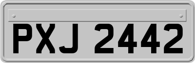 PXJ2442