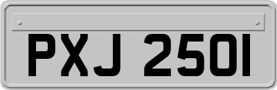 PXJ2501