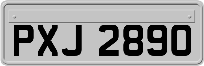 PXJ2890