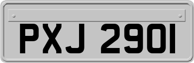 PXJ2901