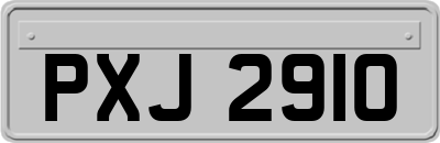 PXJ2910