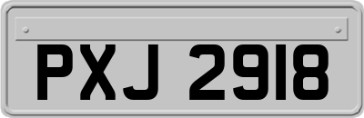 PXJ2918