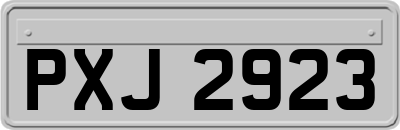 PXJ2923