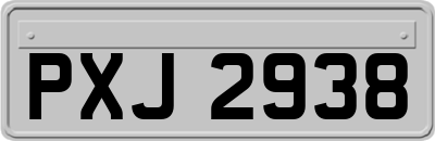 PXJ2938