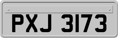 PXJ3173