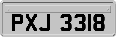 PXJ3318