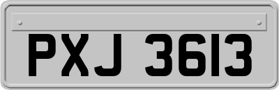 PXJ3613