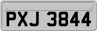 PXJ3844