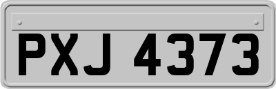 PXJ4373