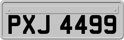 PXJ4499