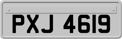 PXJ4619