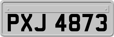 PXJ4873