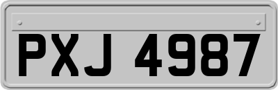 PXJ4987