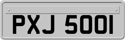 PXJ5001