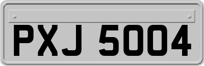 PXJ5004