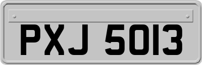 PXJ5013