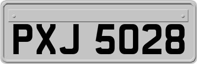 PXJ5028