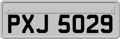 PXJ5029