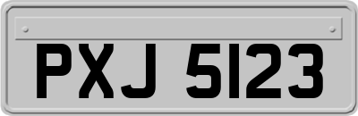 PXJ5123