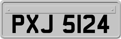 PXJ5124