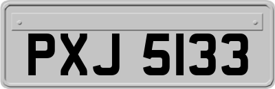 PXJ5133