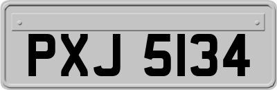 PXJ5134