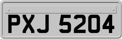 PXJ5204