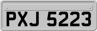 PXJ5223