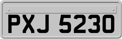 PXJ5230