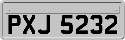 PXJ5232