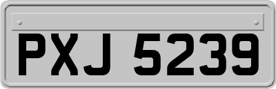 PXJ5239