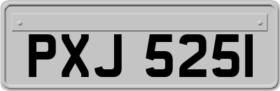 PXJ5251