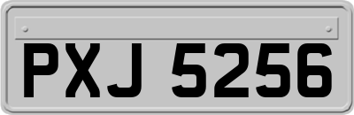 PXJ5256