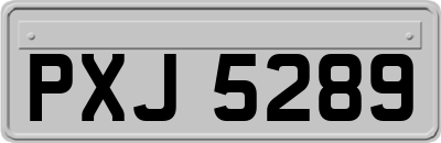 PXJ5289