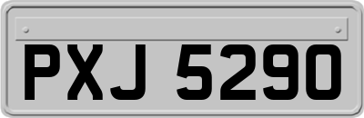 PXJ5290