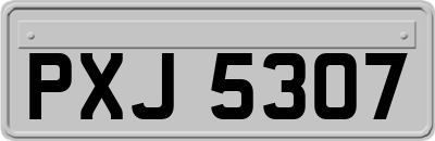 PXJ5307