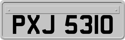 PXJ5310